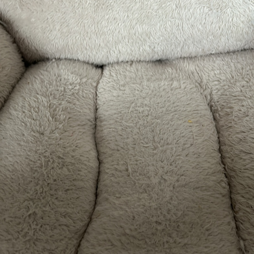Small dog bed - Picture 3 of 3